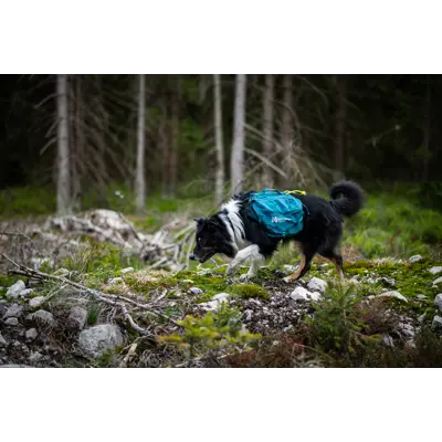 Kløv Trail Quest grønn, bilde 7