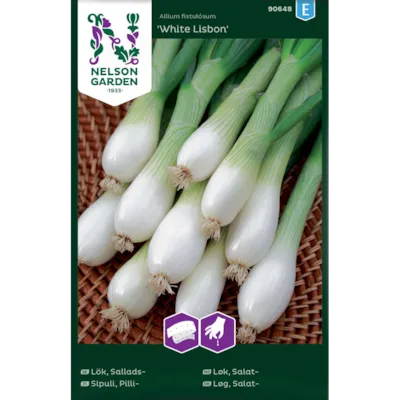 Frø salatløk White Lisbon
