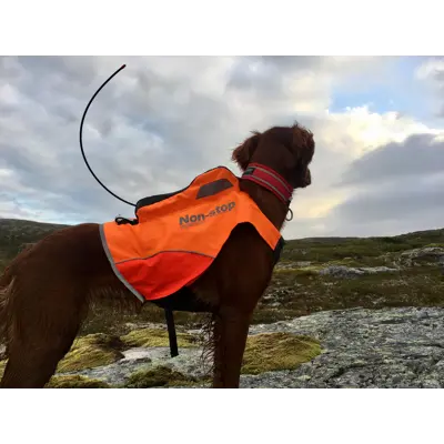 Jaktdekken Protector GPS oransje, bilde 4