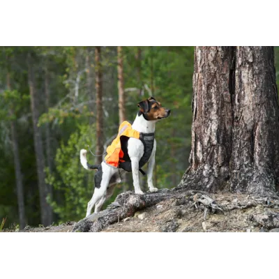 Jaktdekken Protector GPS oransje, bilde 5