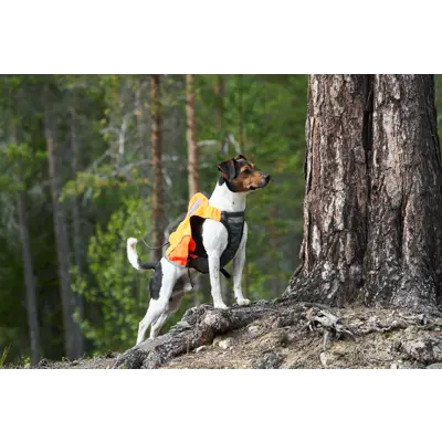 Jaktdekken Protector GPS oransje, bilde 5