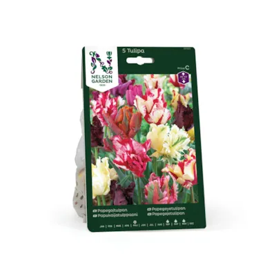 Høstløk papegøyetulipan