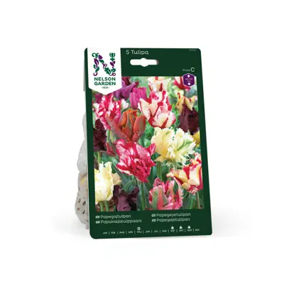 Høstløk papegøyetulipan