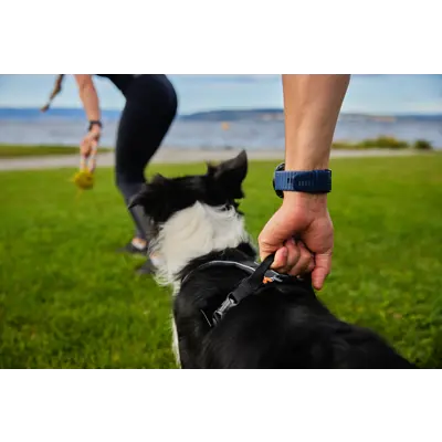 Sele Harness Grip, bilde 9