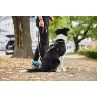 Sele Harness Grip, bilde 13