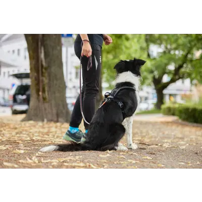 Sele Harness Grip, bilde 13