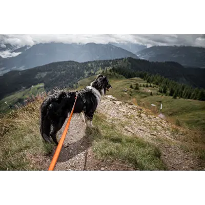 Sele Harness Grip, bilde 11