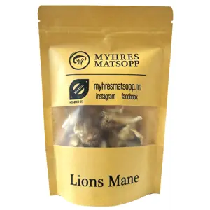 Lions Mane øko 20 g