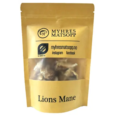 Lions Mane øko 20 g