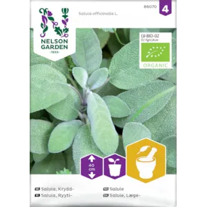 Frø salvie økologisk