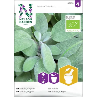 Frø salvie økologisk