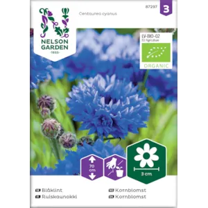 Frø kornblomst økologisk