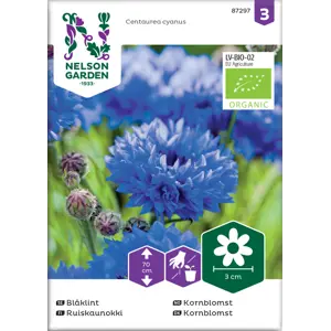 Frø kornblomst økologisk