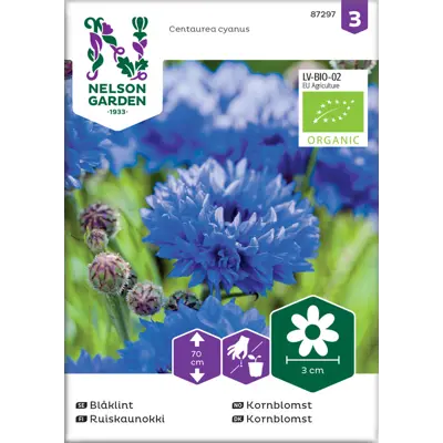 Frø kornblomst økologisk