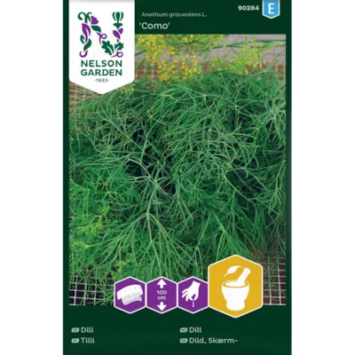 Frø dill Como såbånd