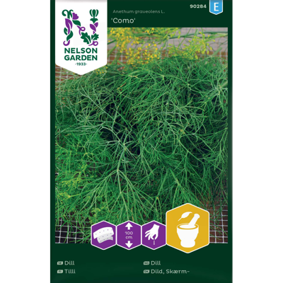 Frø dill Como såbånd