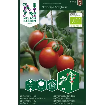 Frø tomat høy Principe Borghese økologisk