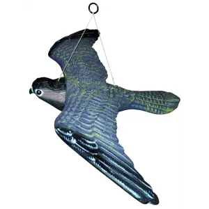 Fugleskremsel Rovfugl drage 54 cm