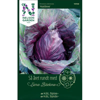 Frø spisskål Kalibos