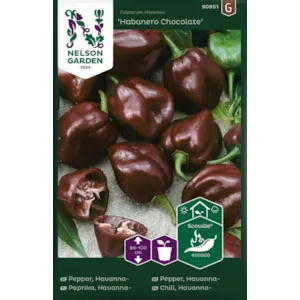 Frø havannapepper Habanero Chocolate