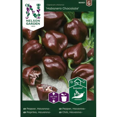 Frø havannapepper Habanero Chocolate