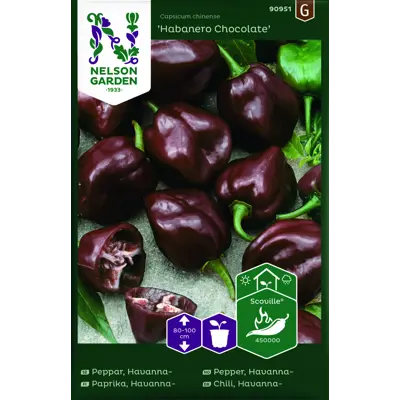 Frø havannapepper Habanero Chocolate