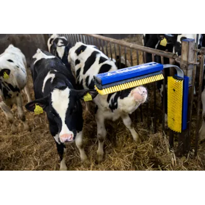 Kubørste SB stasjonær komplett