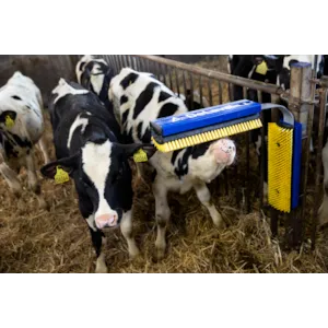 Kubørste SB stasjonær komplett