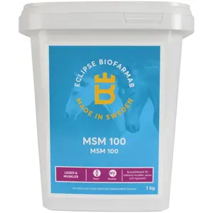 MSM Biofarmab 100 1 kg