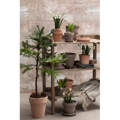 Blomsterpotte Greige Vaso grå, bilde 3