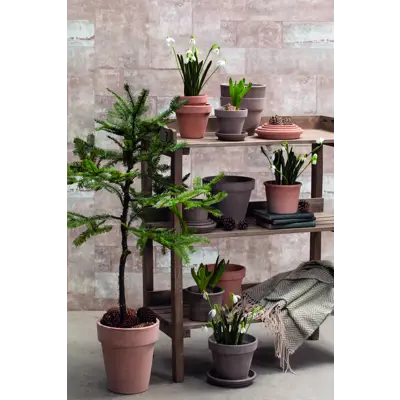 Blomsterpotte Greige Vaso grå, bilde 3