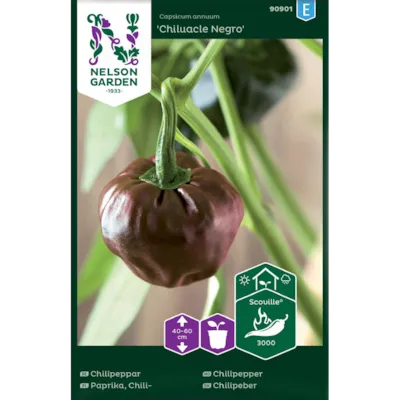 Frø chilipepper Chiluacle Negro