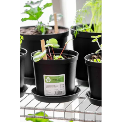 Plantepotte Cultivate, bilde 2