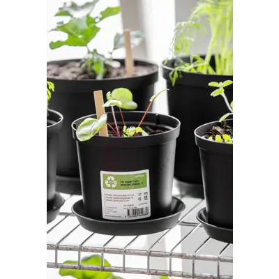 Plantepotte Cultivate, bilde 2