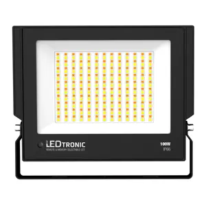 Lyskaster med CCT 100W