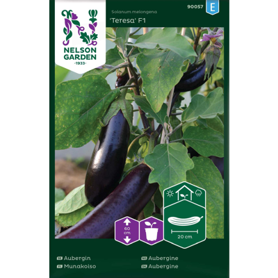 Frø aubergine Teresa