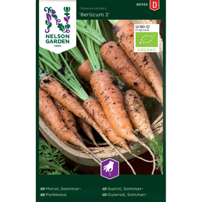 Frø sommergulrot Berlicum 2