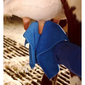 Jurkluter microfiber 12 stk