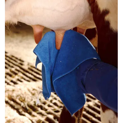 Jurkluter microfiber 12 stk