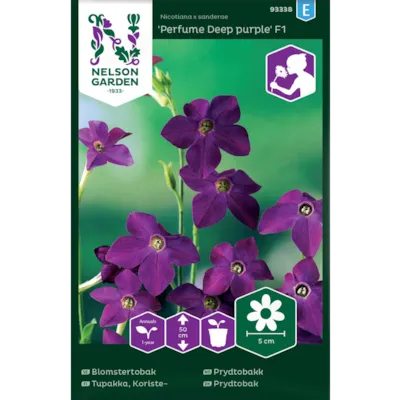 Frø prydtobakk Perfume Deep purple