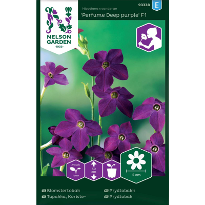 Frø prydtobakk Perfume Deep purple