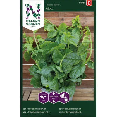 Frø malabarspinat Alba