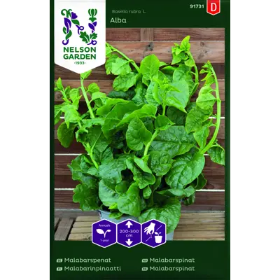 Frø malabarspinat Alba