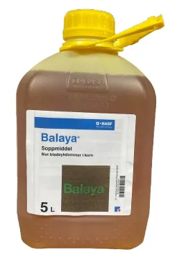 Balaya 5 L
