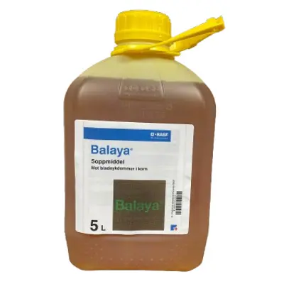 Balaya 5 L