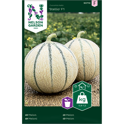 Frø melon Stellio