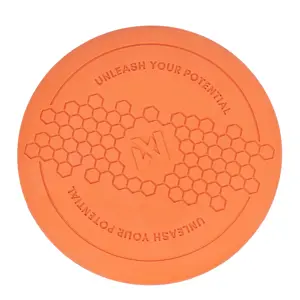 Hundeleke Flying Disc