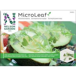 Frø sareptasennep MicroLeaf