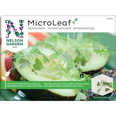 Frø sareptasennep MicroLeaf