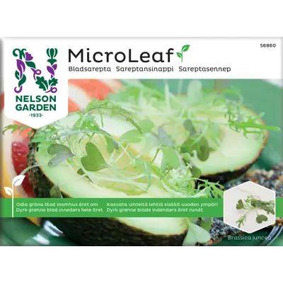 Frø sareptasennep MicroLeaf